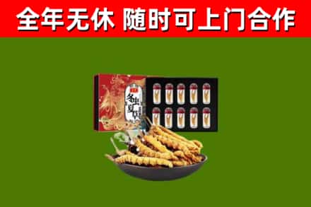 大同市回收冬虫夏草价格